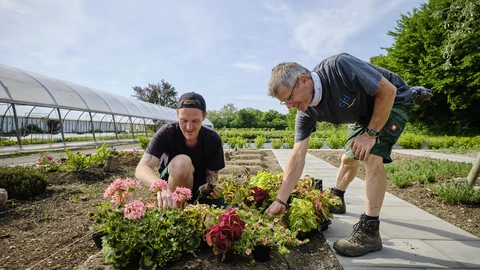Zwei Personen beim Blumen pflanzen im Gartenbau des CJD BBW Offenburg