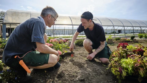 Zwei Personen beim Blumen pflanzen im Gartenbau des CJD BBW Offenburg