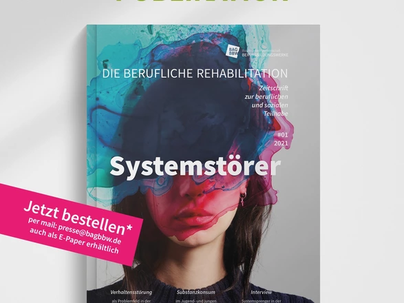 Titelblatt der Publikation Die Berufliche Rehabilitation