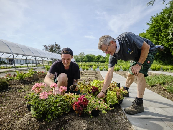 Zwei Personen beim Blumen pflanzen im Gartenbau des CJD BBW Offenburg