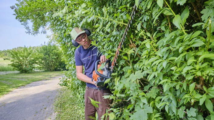 Auszubildender beim Schneiden von Hecken im BBW Offenburg