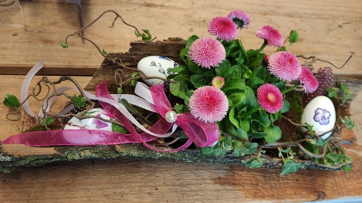 Bellispflanzen in einem Gebinde in einer Rinde, Gesteck zu Ostern aus dem Blumenladen im BBW Offenburg